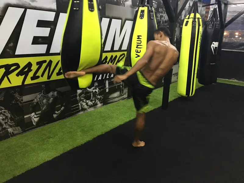 Venum Training Camp 4