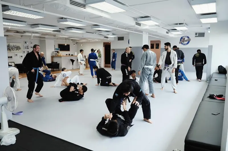 Arete Brazilian Jiu-Jitsu 2