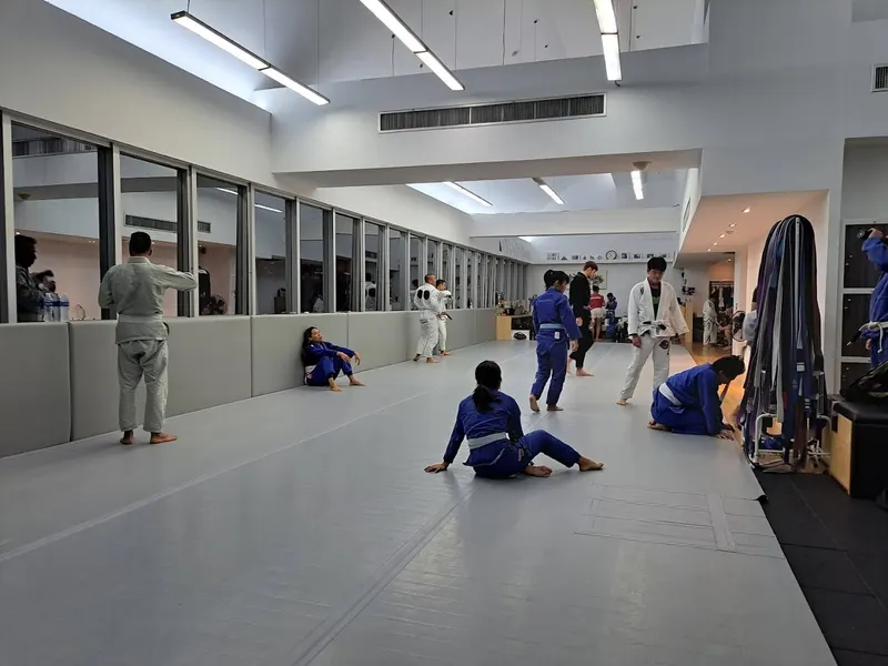 Arete Brazilian Jiu-Jitsu 3