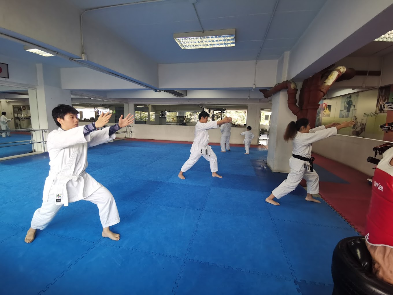 Executive Martial Arts Centre 1