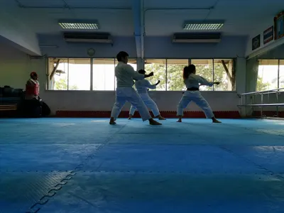 Executive Martial Arts Centre