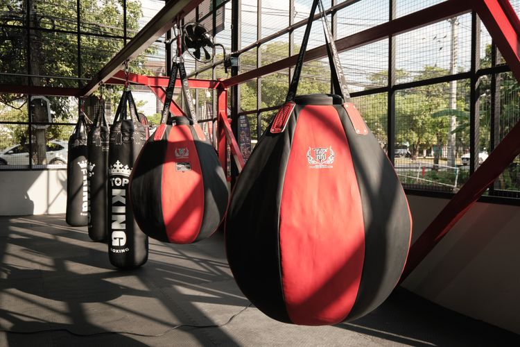 Krudam Gym 8