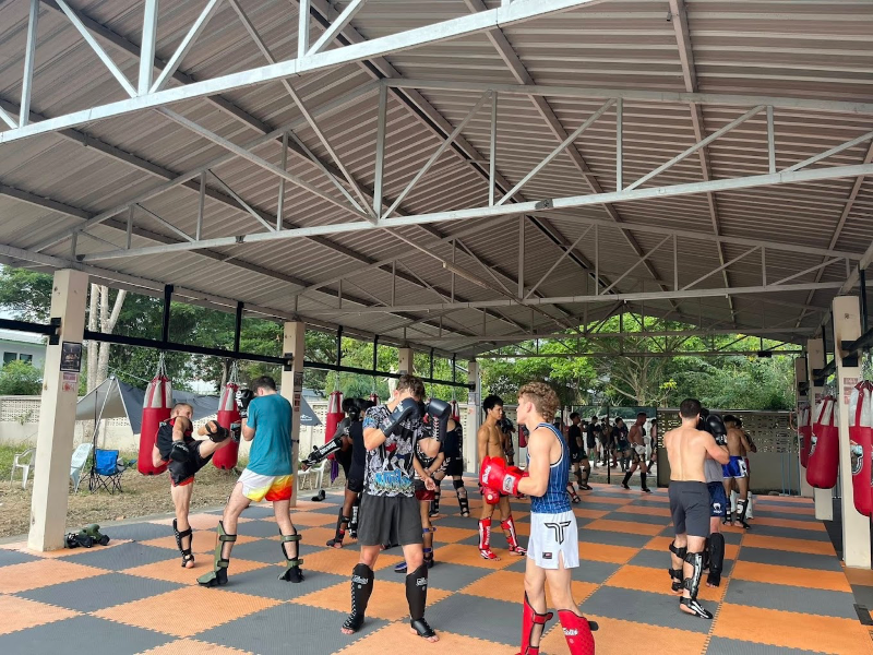 Training Only
