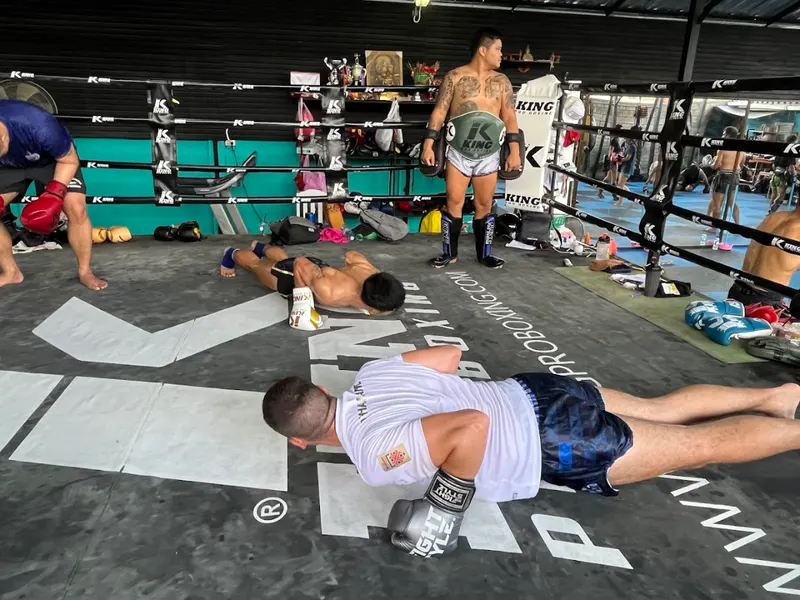 The Bear Fight Club 3