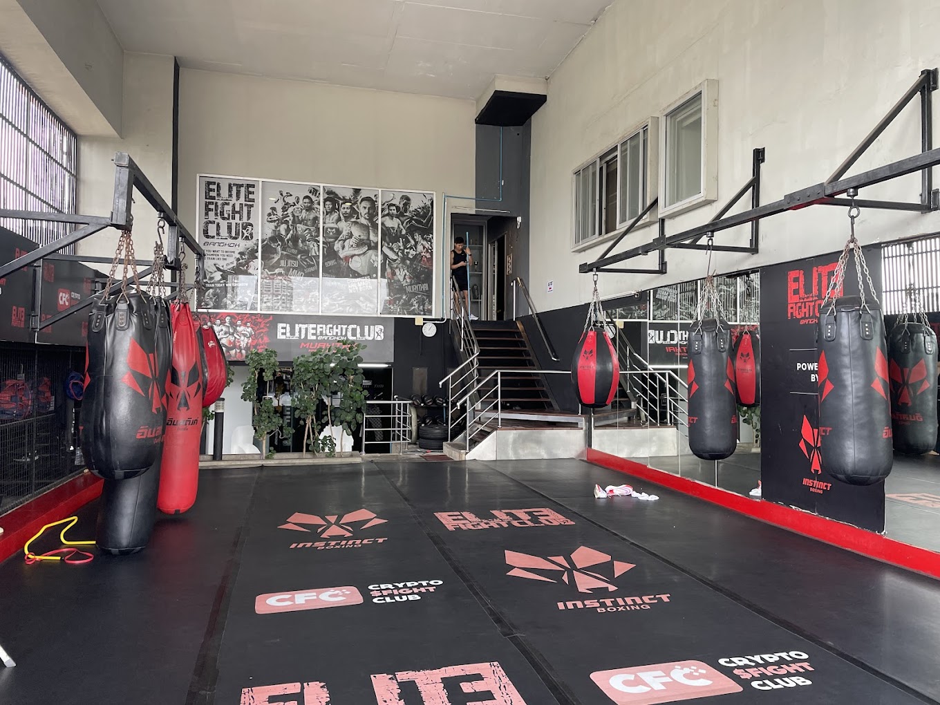 Elite Fight Club 1