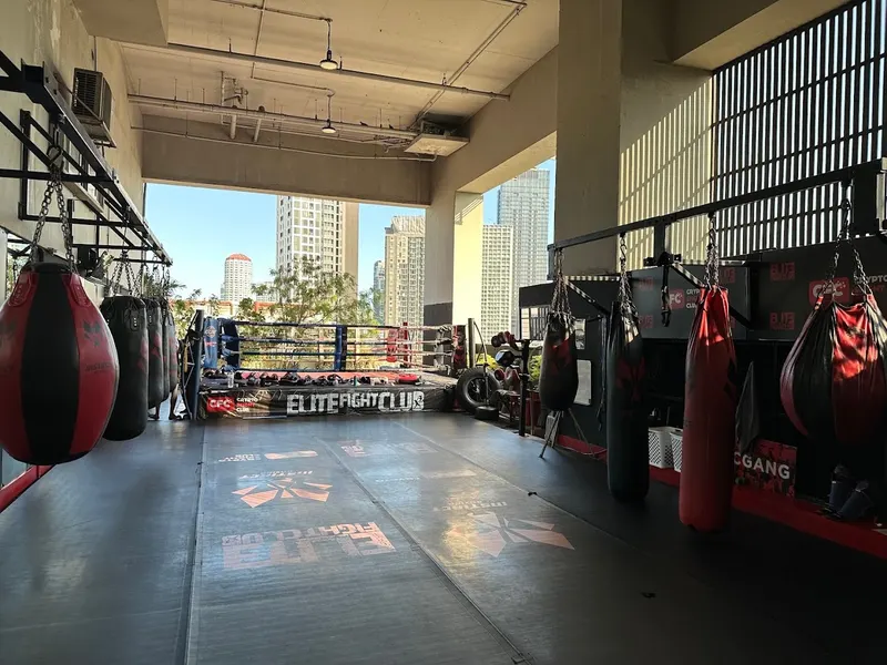 Elite Fight Club 2