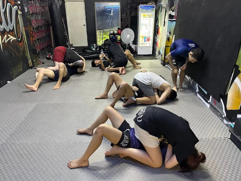 Valhalla MMA gym 2