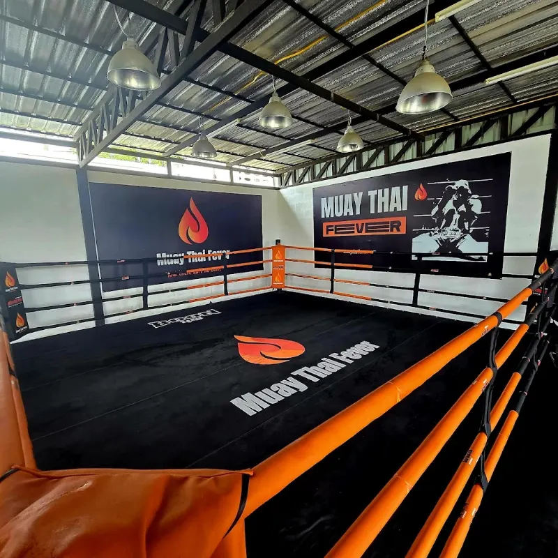 Muay Thai Fever 3