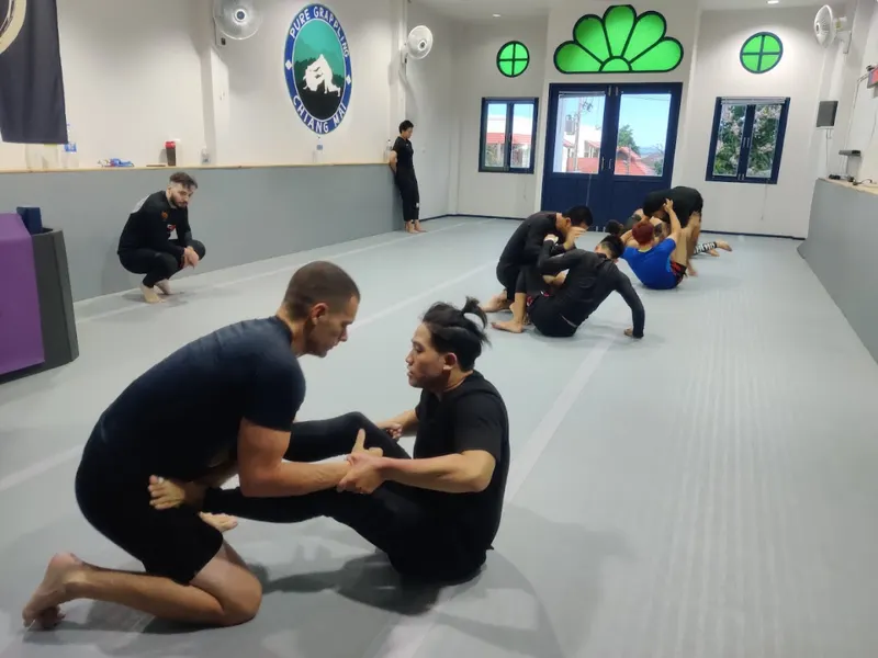 Pure Grappling hero