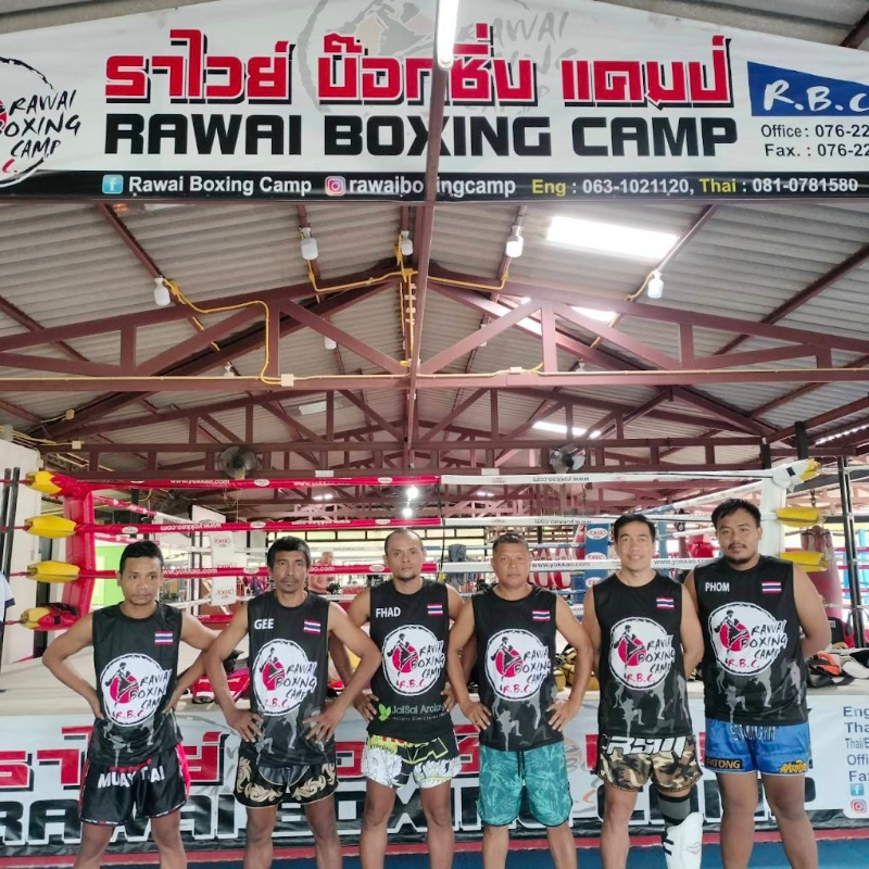 Training Only