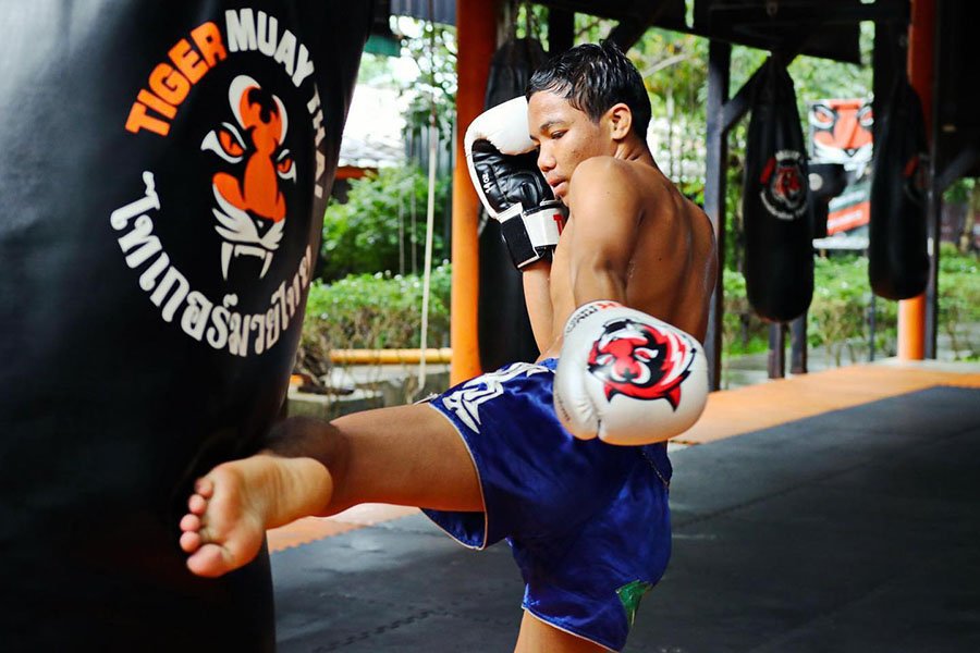 Tiger Muay Thai 1