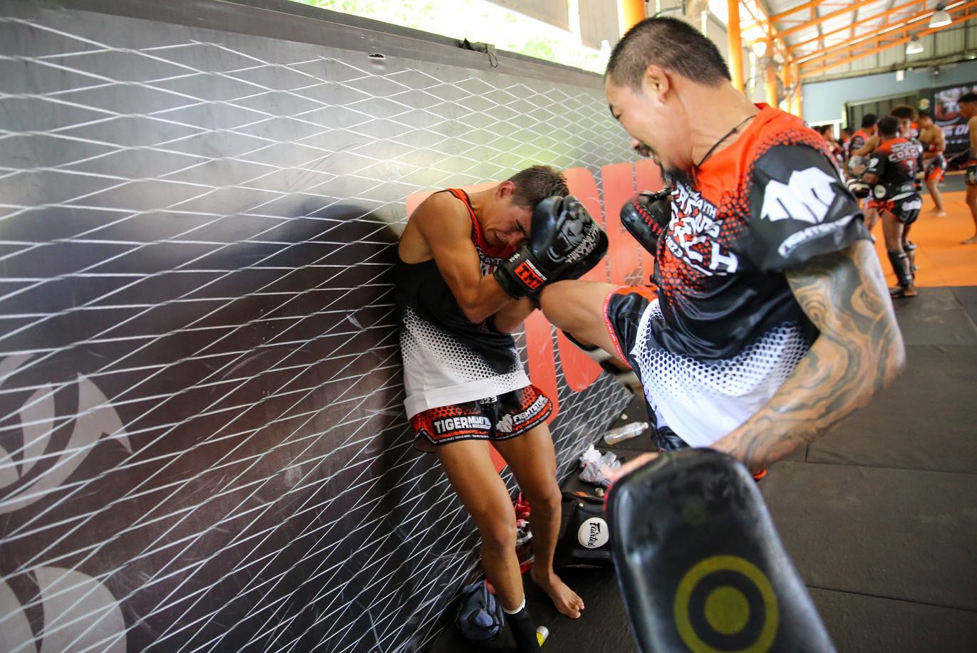 Tiger Muay Thai 3