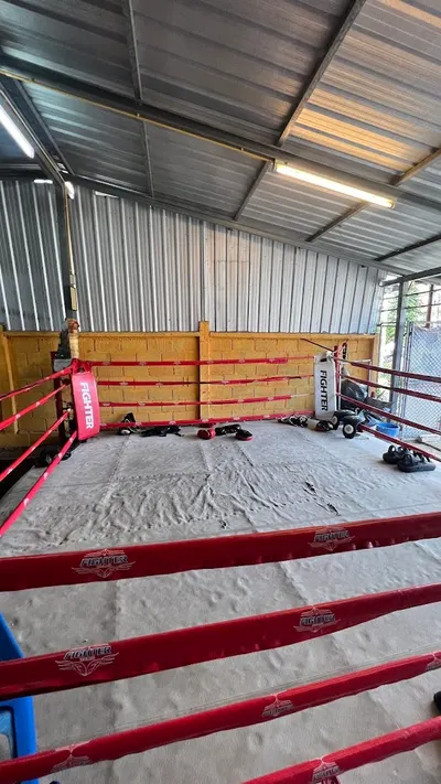 PJ Muay Thai 9