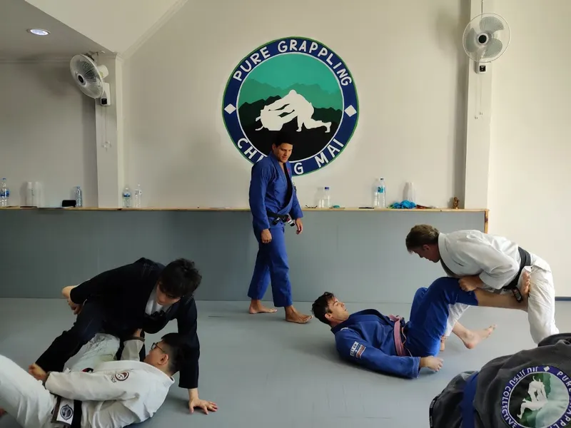 Pure Grappling 3