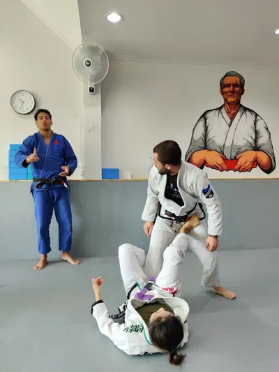 Pure Grappling hero
