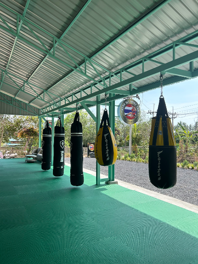 Training Only