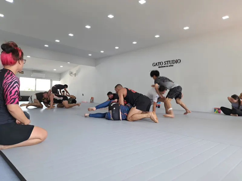 Gato Studio BJJ hero
