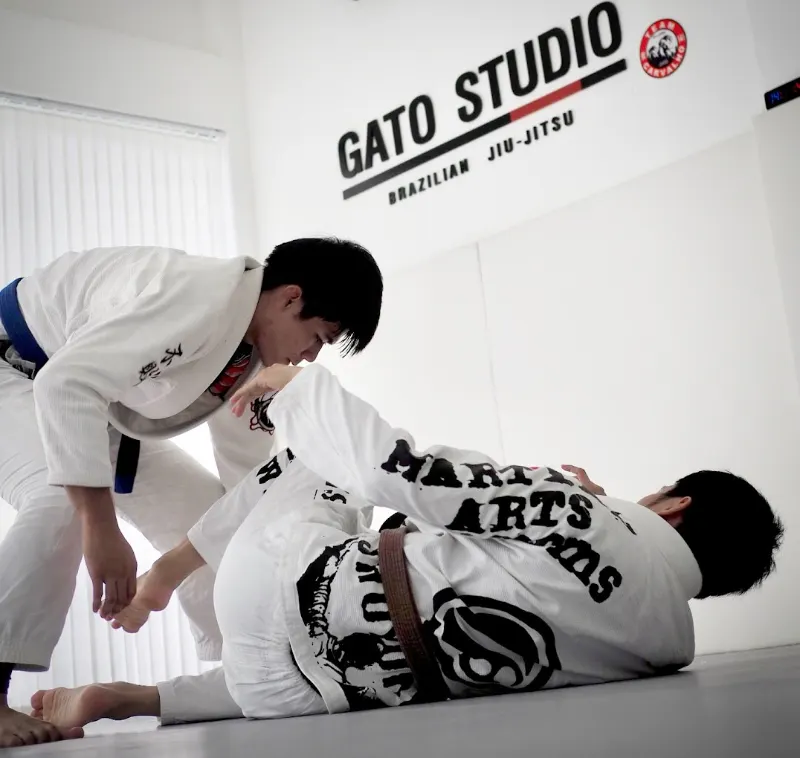 Gato Studio BJJ 2