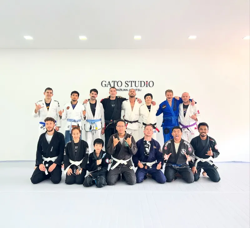 Gato Studio BJJ 10