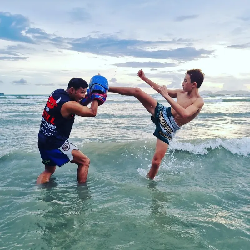 Bull Muay Thai 2