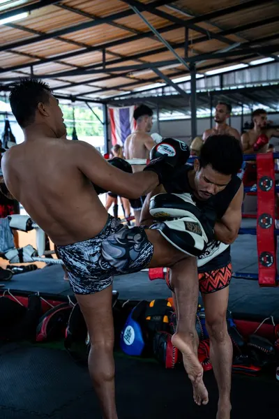 Bull Muay Thai 11