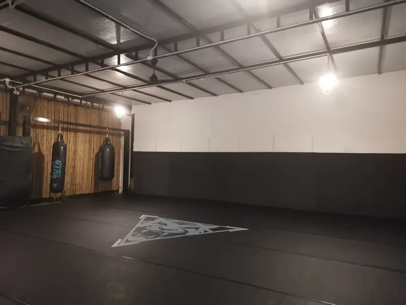 Tiger Eye Muay Thai and MMA 3