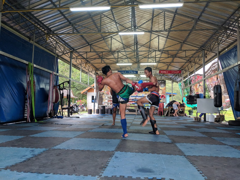 Training Only