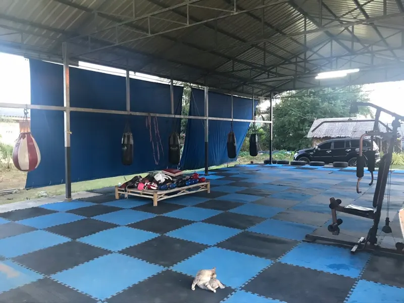 White Shark Chalamkhow Muay Thai 9