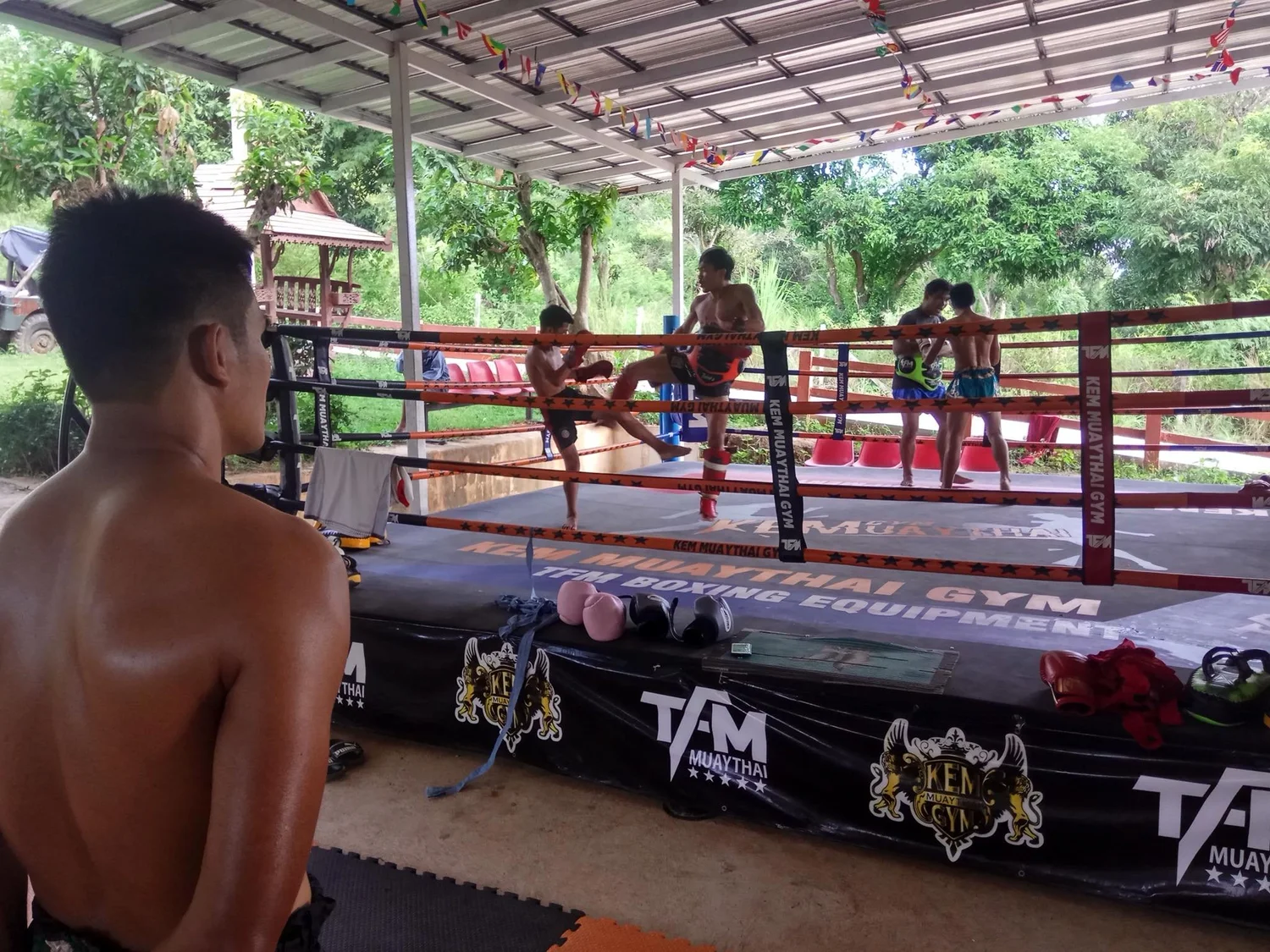 Training Only
