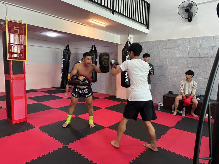 Training Only
