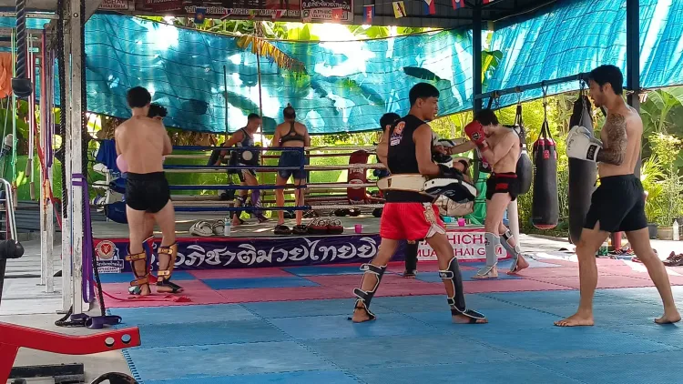 Training Only
